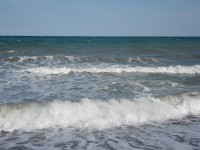 /album/fotogaleria/dsc03013-large-jpg/